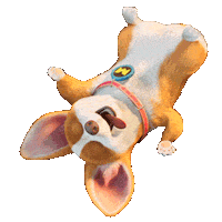 mocoaifay animation dog cartoon corgi Sticker
