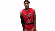 csu columbus st GIF by Columbus State University Athletics