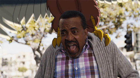 tim meadows birds GIF by Son of Zorn