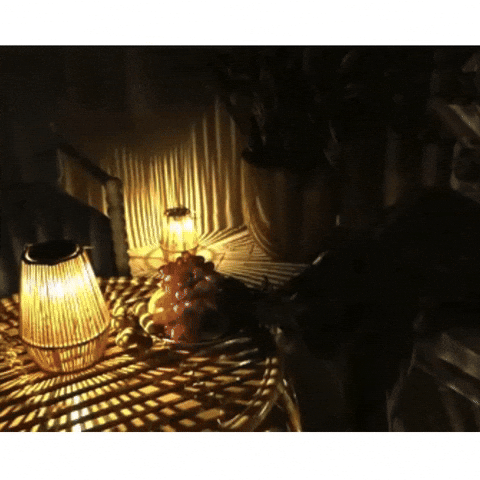 BlandaUK giphyupload GIF