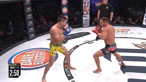 knock out fight GIF by Bellator