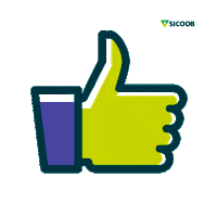 Festa Aniversario Sticker by sicoobes