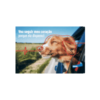 Dog Cao Sticker by Elanco Brasil