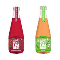 Delicious Sticker by vedakombucha