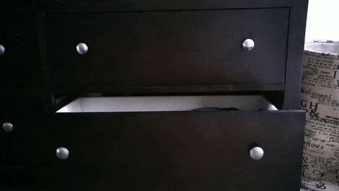 cats noise GIF