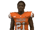 Cnfb Sticker by Carson-Newman Athletics