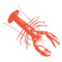 Summer Lobster Sticker by Katie Kime