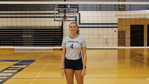 Volleyball Wethebeach GIF by VWU Marlins