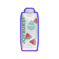Joy Watermelon Sticker by No Sugar Company