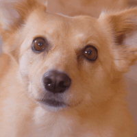 Angry GIF