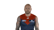 melbourne football club yes Sticker by Melbournefc