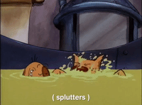 nicksplat GIF