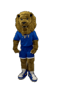 New York Hofstrau Sticker by Hofstra University