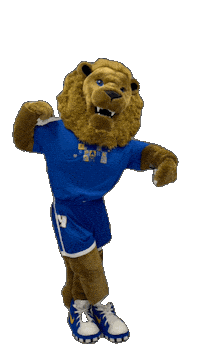 New York Hofstrau Sticker by Hofstra University