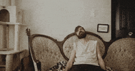 mergerecords cat modelo bob dylan titus GIF