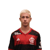 flamengoesports freefire vapo b4 flamengo esports Sticker