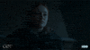 gameofthrones hbo game of thrones GIF