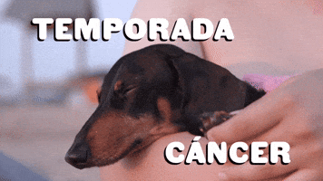 Temporada Cáncer