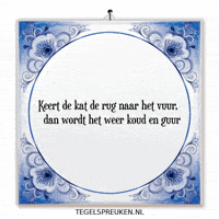 Kat Wijsheid GIF by Tegelspreuken.nl