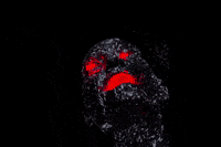 Hafid3D GIF
