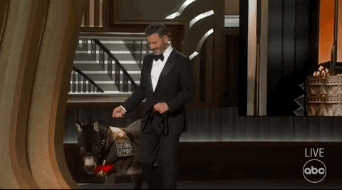 Oscars GIF by The Academy Awards