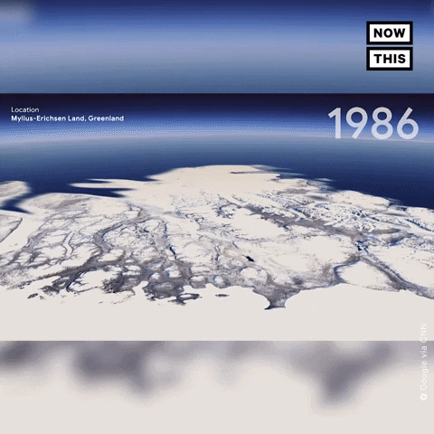 Climate Change GIF by NowThis