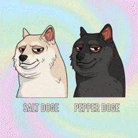 Shiba Inu Dog GIF by Doge Pound