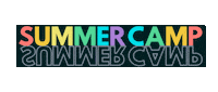 ACANYNJ summer camp aca 10for2 nynj Sticker