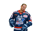 Huskie Sticker by EC Kassel Huskies