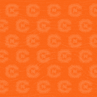 Cnms19 GIF by Carson-Newman Athletics