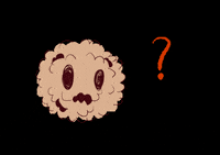 bbchris77 nini 毛毛球 GIF