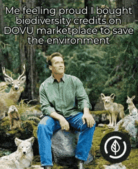 dovu staking hedera hbar dovu GIF