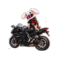 Yamaha R6 Motorcycle Sticker