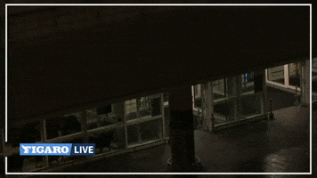 GIF by Le Figaro