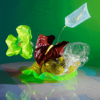 Happy Birthday Party GIF by John Artur