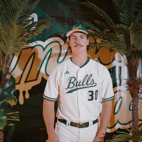 South Florida Baseball GIF by USF Athletics