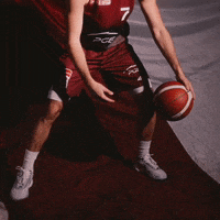 Gospojnia GIF by Kacper Salamon Fotografia