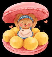 ABCCookingStudio abc cooking studio GIF