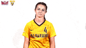 The Valley Mvc GIF by Missouri Valley Conference