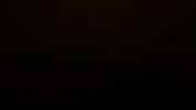 BRINXTV tv win play network GIF