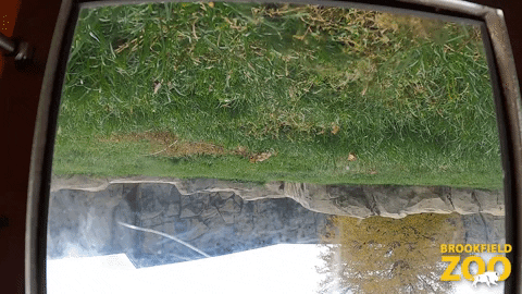 Stranger Things Winter GIF by Brookfield Zoo