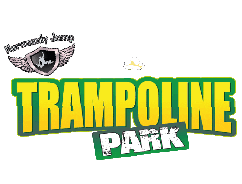 NormandyJump giphyupload jump flip backflip Sticker