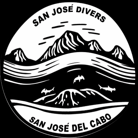 Sanjosedivers giphygifmaker mexico shark diving GIF