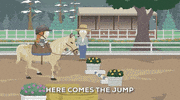 Horse Butters GIF by South Park