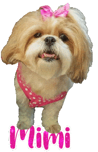 Dog Mimi Sticker