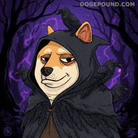 Shiba Inu Magic GIF by Doge Pound