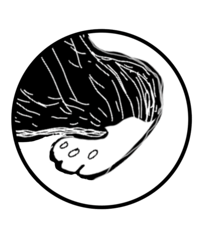 Sleepy Black Cat Sticker