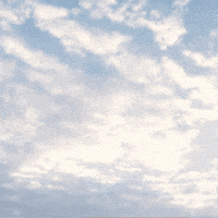 Flying Come Fly With Me GIF by TeaCosyFolk
