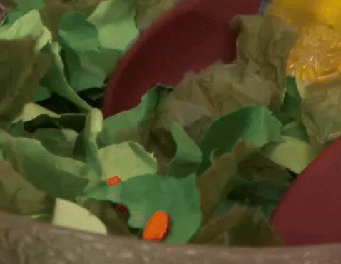 Salad