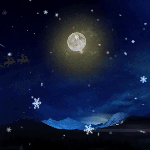 steadycatch giphyupload christmas steadycatch GIF